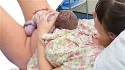 maestria postpartum midwives TECH Global University