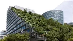 maestria rehabilitacion ahorro energetico edificacion TECH Global University