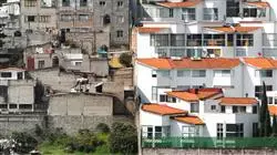 maestria sociologia aplicada TECH Global University