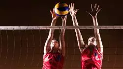 maestria voleibol profesional TECH Global University