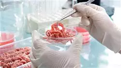 magister seguridad alimentaria veterinaria TECH Global University