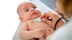master apprendimento misto master semipresenziale aggiornamento reumatologia pediatrica Tech Universidad