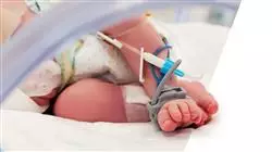 master aula virtuale urgenze ostetriche neonatali ostetricia Tech Universidad