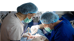 master degree endodontics apical microsurgery Tech Universidad