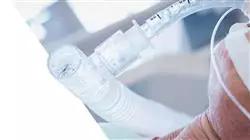 master degree respiratory physiotherapy Tech Universidad