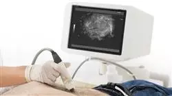 master ecografia clinica medicina urgenza terapia intensiva Tech Universidad