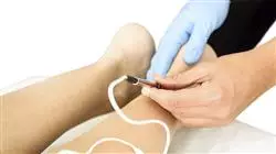 master electroterapia fisioterapia Tech Universidad