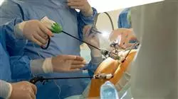 master endometriosis Tech Universidad