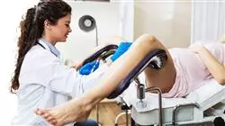 master ginecoestetica Tech Universidad