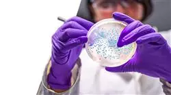 master infectologia clinica terapeutica antibiotica avanzada Tech Universidad