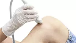 master musculoskeletal ultrasound physiotherapy Tech Universidad