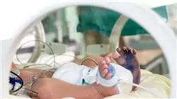 master privato urgenze ostetriche neonatali ostetricia Tech Universidad