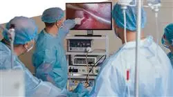 master tirocinio endometriosi Tech Universidad