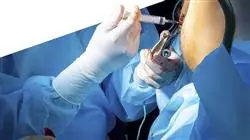 master tirocinio master semipresenziale proctologia Tech Universidad