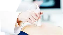 master tirocinio schwangerschaftspathologien krankenpflege Tech Universidad