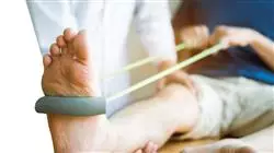 mestrado personal training terapeutico Tech Universidad