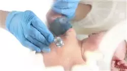 mestrado proprio enfermagem pediatrica Tech Universidad