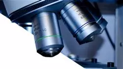 mestrado proprio microbiota humana Tech Universidad