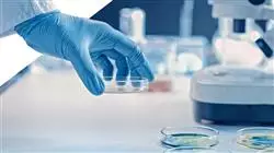 mestrado proprio oncologia precisao genomica big data Tech Universidad