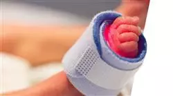 practicas cuidados intensivos neonatales enfermeria neonatal Tech Universidad
