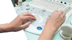 practicas ecografia musculoesqueletica fisioterapia Tech Universidad