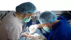 praktikumsprogramm endodontie apikale mikrochirurgie Tech Universidad