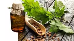 prasenzstudium fortschritte angewandter phytotherapie krankenpflege Tech Universidad