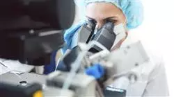 prasenzstudium mba leitung monitoring klinischen studien Tech Universidad