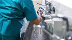 prasenzstudium minimalinvasive chirurgie gynakologie Tech Universidad
