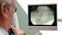 prasenzstudium onkologische endoskopie Tech Universidad