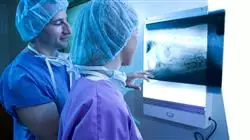 prasenzstudium veterinarernahrung Tech Universidad