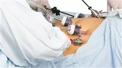 prasenztudium fortschritte padiatrischen gastroenterologie hepatologie Tech Universidad