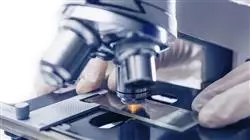prasenztudium prazisionsonkologie genomik big data Tech Universidad