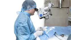 prasenztudium tierarztliche ophthalmologie kleintieren Tech Universidad