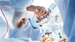 prasenztudium wirbelsaulenchirurgie Tech Universidad