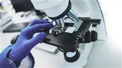 praxisorientierte ausbildung genom prazisionsernahrung Tech Universidad