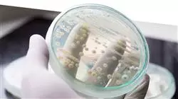 praxisorientierte ausbildung infektionskrankheiten notaufnahme krankenpflege Tech Universidad