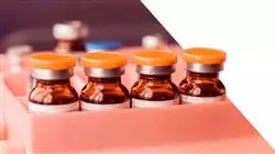 praxisorientierte ausbildung klinische infektiologie antibiotikatherapie Tech Universidad