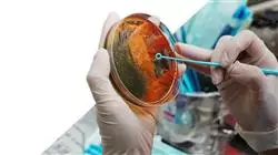 praxisorientierte ausbildung klinische infektiologie fortgeschrittene antibiotikatherapie Tech Universidad