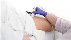 praxisorientierte ausbildung klinischer ultraschall notfall intensivpflege Tech Universidad
