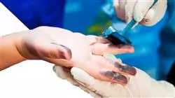 praxisorientierte ausbildung medizinisches gutachten bewertung personenschaden Tech Universidad