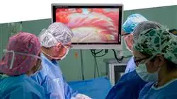 praxisorientierte ausbildung minimalinvasive chirurgie gynakologie Tech Universidad