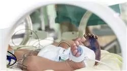 praxisorientierte ausbildung neonatologie Tech Universidad