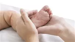 praxisorientierte ausbildung padiatrische dermatologie Tech Universidad