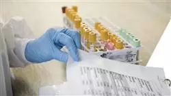 praxisorientierte ausbildung pathologie unteren genitaltrakts hpv Tech Universidad
