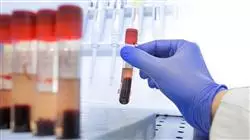 praxisorientierte ausbildung sportmedizin Tech Universidad