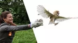 praxisorientierte ausbildung wildtiermanagement Tech Universidad