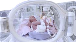 professional practices obstetric neonatal emergencies midwives Tech Universidad