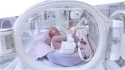 professional practices obstetric neonatal emergencies midwives Tech Universidad