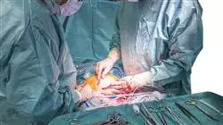 professional practices postpartum care nursing Tech Universidad